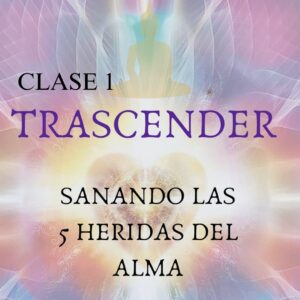Clase Trascender