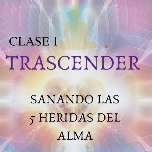 Clase Trascender